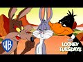 Looney Tuesdays Friendships Are Forever Looney Tunes WB Kids