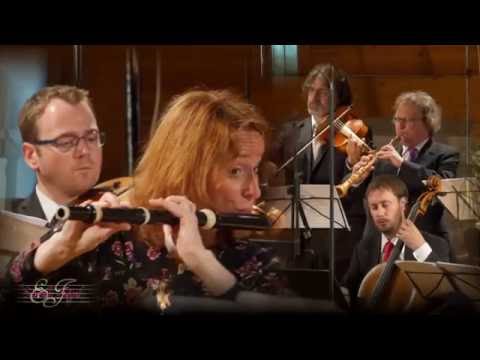 Johann David Heinichen, Concerto en ré majeur S.226 pour violon, flute, hautbois, théorbe et cordes