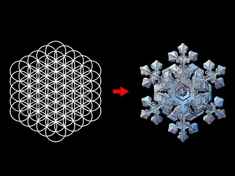 Geometria Sagrada Séries - A Flor Da Vida 2