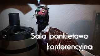 preview picture of video 'Sala Bankietowa Chojnice - Pod Samborem'