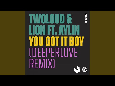 You Got It Boy (Deeperlove Remix)