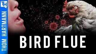 Sick Reason Bird Flu Could Be Worse Than COVID