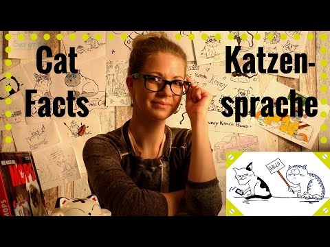Cat Facts - Folge 9: So kommunizieren Katzen