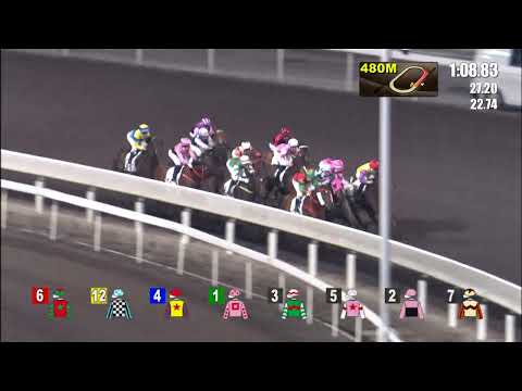 都靈紅星21/12/29……(296)第七塲三班1650泥