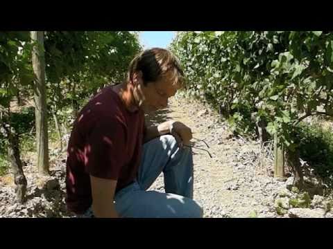 Winery Words - Beaux Freres