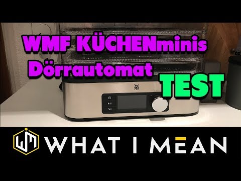 WMF Door Automatic Test