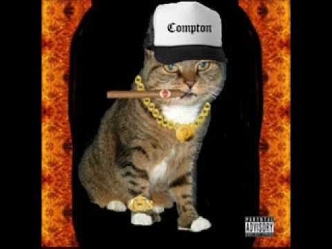 miauband - sorry,blame it on me (Akon)