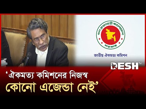 ঐকমত্য কমিশন কারও প্রতিপক্ষ নয়: আলী রীয়াজ | Ali Riaz | Desh TV