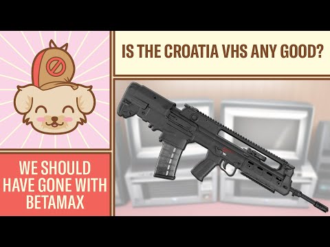 An Honest Review of The Springfield Armory VHS Hellion - We Should have Gone with Betamax