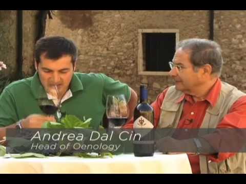 Masi Valpolicella dell'Anniversario Classico Superiore DOC - English
