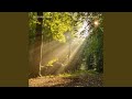 Paradise (Radio Edit)