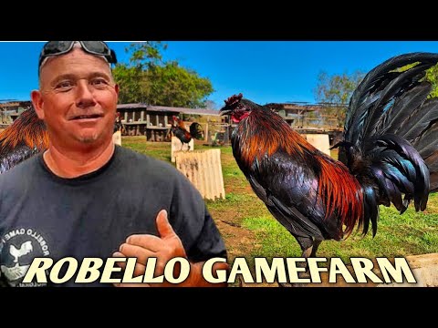 Mcrae Black Grey - ROBELLO FARM