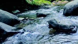 Want DEEP Sleep? Try This 8 Hour 4K Waterfall Video