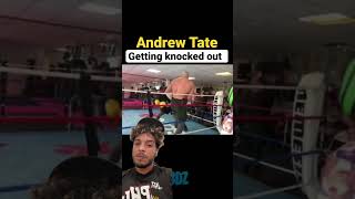 Download lagu Andrew Tate getting knocked out ⁉️😱 #shorts #andrewtate #viral #foryou #fyp #fight mp3