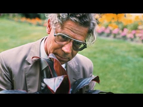 Drs P -  Utrecht  (een eerbetoon)