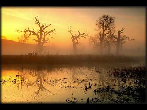 Liquid Fraction - Summer Special - Part 9 - Deep Ambient DuB Techno - SEP 2025