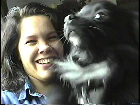 Late 90's Seattle: Withe REO SPEEDEALER at the OFF RAMP