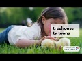 Treehouse Tv Ids
