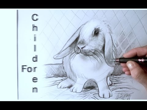 Easy RABBIT for beginners graphite Pencil drawing