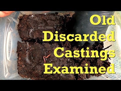 Unfinished business with ENC tainted castings - worm farm vermicompost