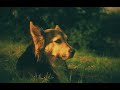 An Obsession with Carp Episode 18 (Wraysbury part 6)