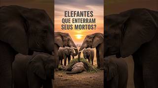 🐘🪦 O Elefante que “Enterra” Seus Mortos #ElefanteEnterro #LutoAnimal #CuriosoÉTu