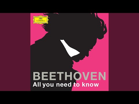 Beethoven: Symphony No. 7 in A Major, Op. 92: II. Allegretto