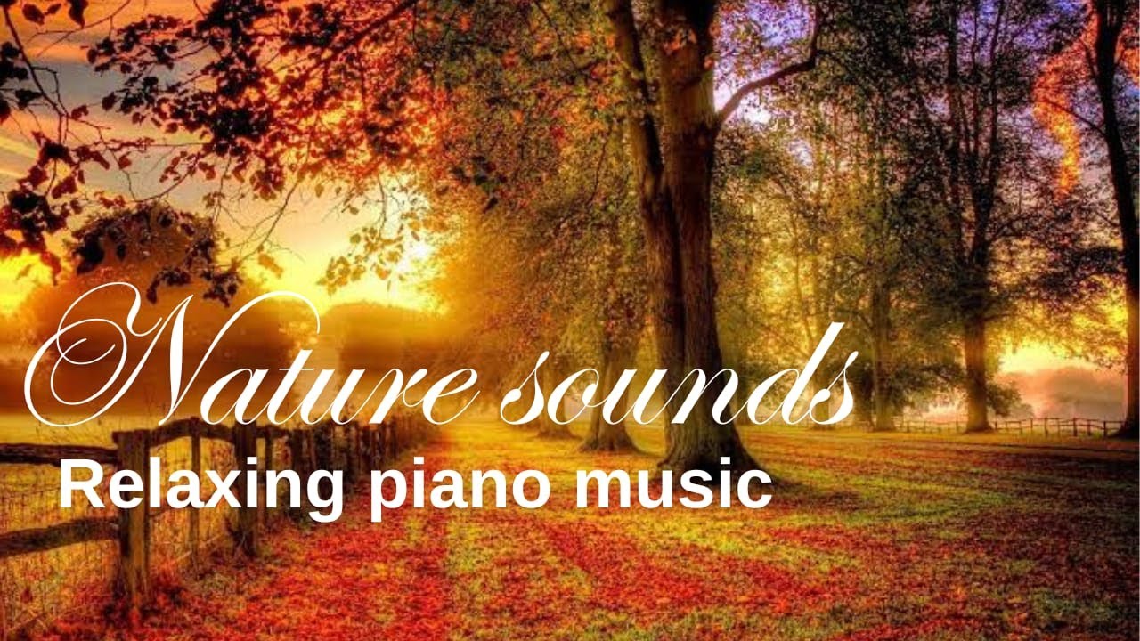 Peaceful Music for Mind Relaxation, Nature Sounds for Stress Relief, Calm Music