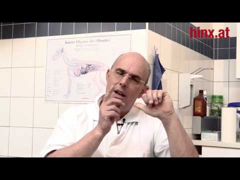 Hausmittel gegen Durchfall