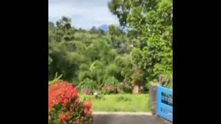 Download lagu Selamat pagi dunia tipu-tipu story wa mp3 Download lagu Selamat pagi dunia tipu-tipu story wa mp3