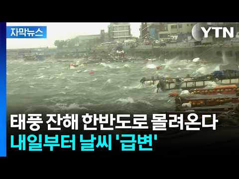 강풍특보 수준 돌풍까지...날씨 또 '비상' [자막뉴스] / YTN