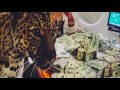 Wiz Khalifa - Get It On Ur Own (Prod by Cardo) Wiz Khalifa - Get It On Ur Own (Prod by Cardo)