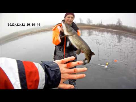 angel gädda! 7,54kg