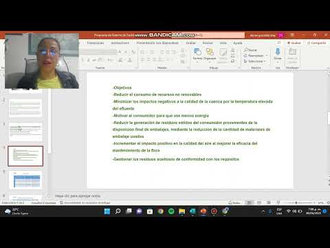 Sistema de Gestión Ambiental, curtiembre San Benito