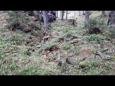 Rumunsko Perla Padurii 2