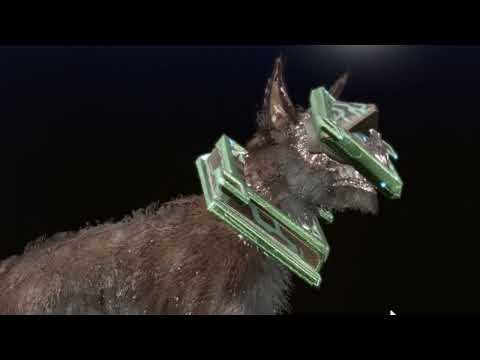 Mr. Baro Ki'Teer What is THIS... (June 2nd)│Warframe