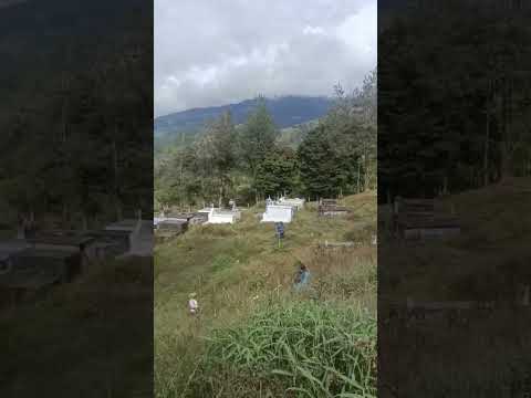 monopamba puerres Nariño #naturaleza #seguimi #seguimi #turismo #turismo #ㅇyㅇ #ㅇyㅇ #auto #travel