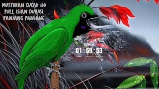 Download lagu MASTERAN CUCAK IJO FULL ISIAN, KUNTIAN, BAJING KEKES TENGKEK mp3