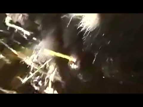 pov real skunk attack