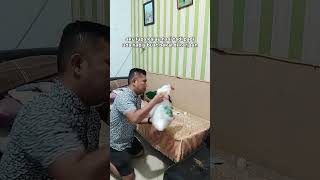 Download lagu Hopefully there is wisdom behind all this #drama #household #desire mp3