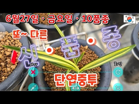유튜브 썸네일