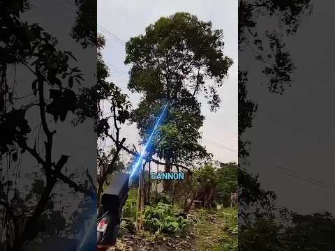 The Best Way To Cut Trees Ever