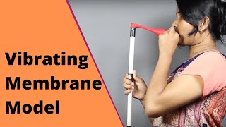 Vibrating Membrane Model | ThinkTac | DIY Science