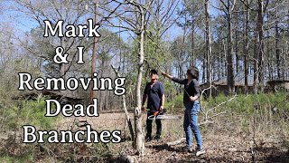 Mark & I Removing Dead Branches