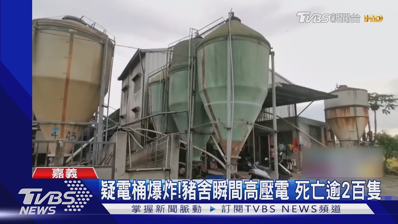 太陽能光電爆炸! 2千頭豬抽搐哀號 業者損失千萬