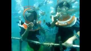 preview picture of video 'Scuba Diving - Tanjung Benoa Bali'