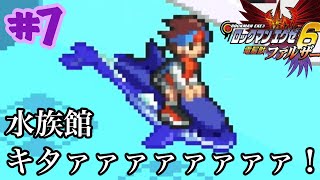 ロックマンエグゼ６【縛りプレイ】イルカは居るか？　強化しないマンが行くロックマンエグゼ６電脳獣ファルザー