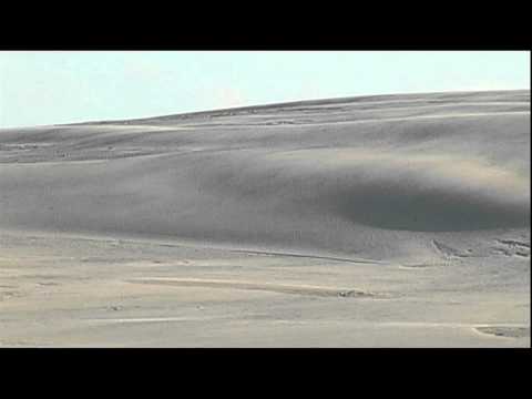 Wanderdüne Nordjütland Rabjerg Mile beeindruckende Wüstenlandschaft in Dänemark
