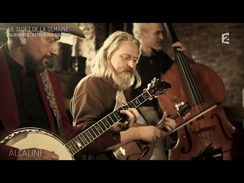 Alcaline, le Mag : Le Bluegrass