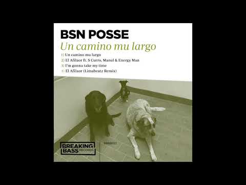 BSN Posse - I'm gonna take my time